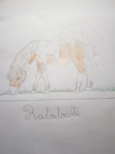 Le fameux "Lauratatouille"